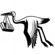 The Book Stork
